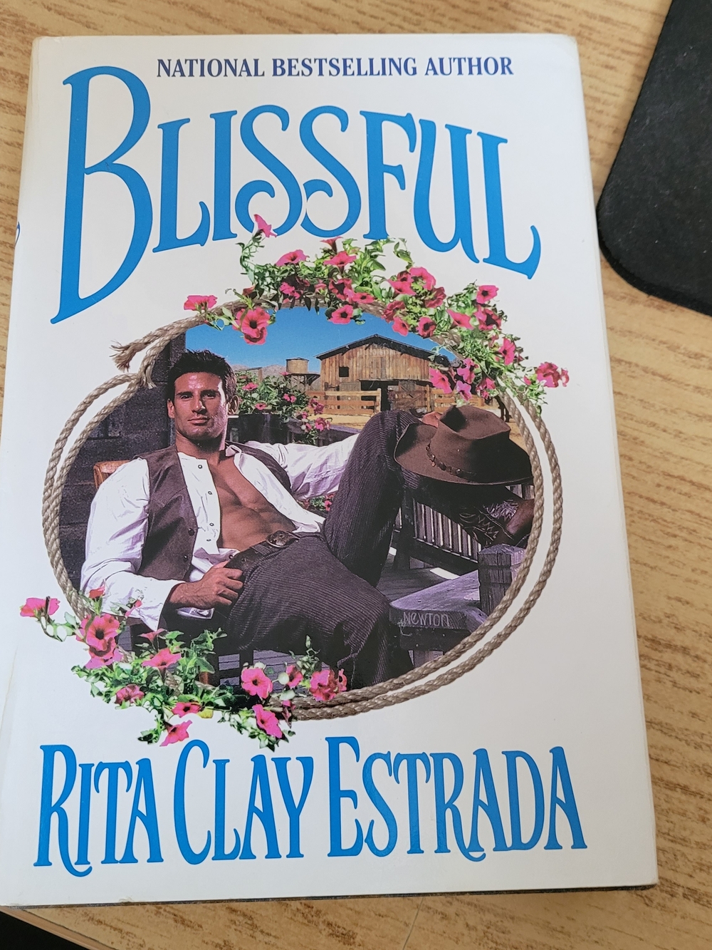 Blissful by Rita Clay Estrada Book